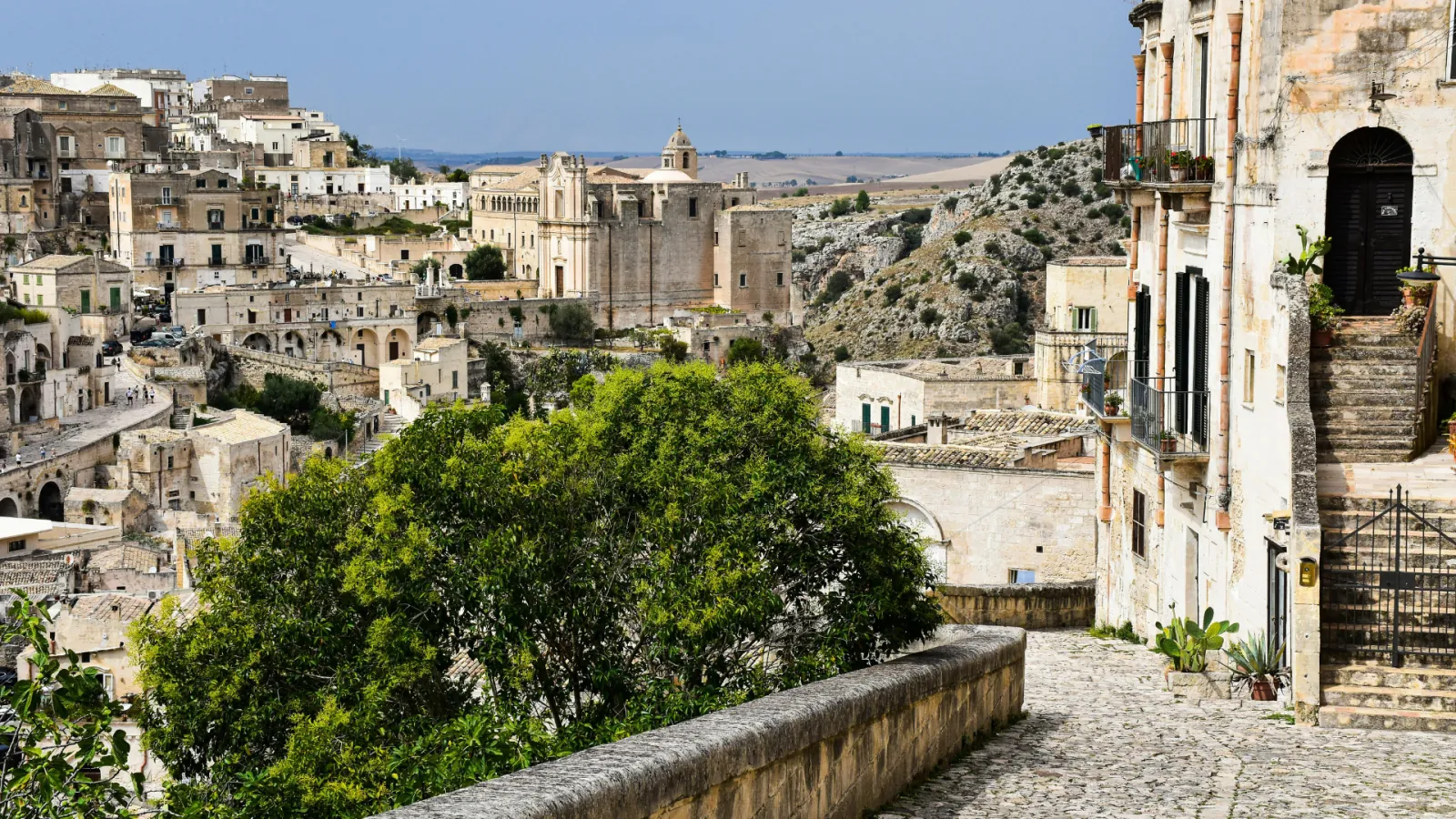 A green tree and stone stairway in the foreground, with Sassi houses and a church stretching to the horizon.