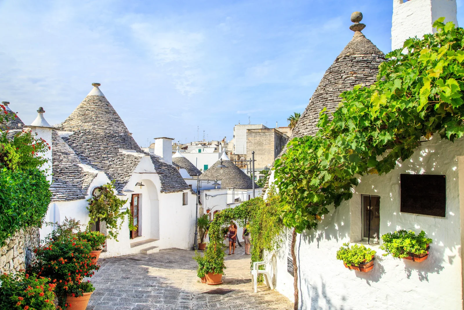 Matera & Alberobello Tour with Tour Leader on board